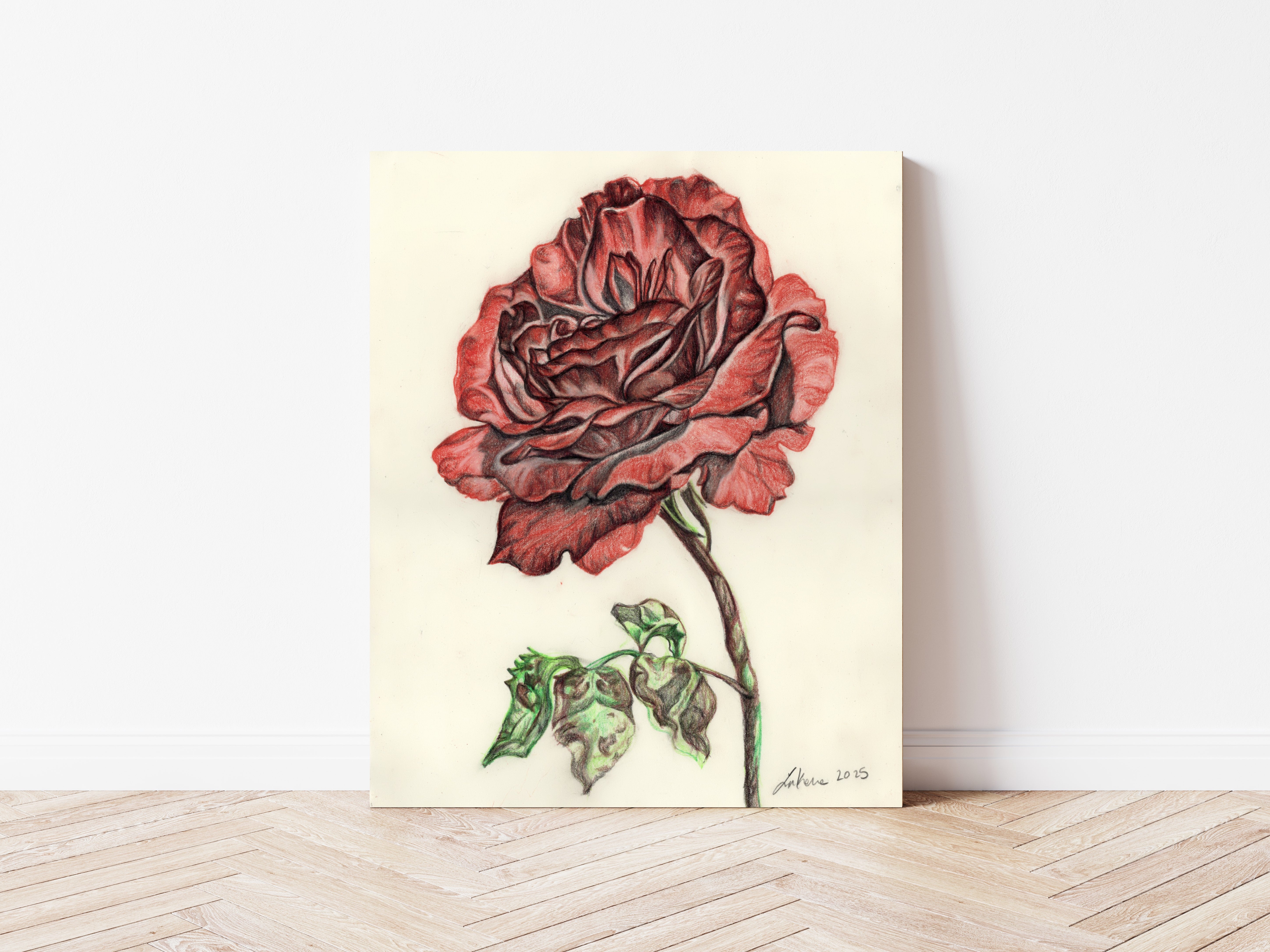Red Rose – LGFineArt